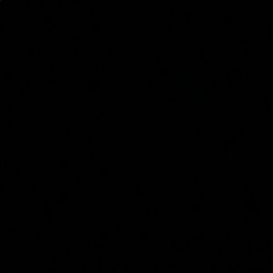 Meet your Posher, Carlos